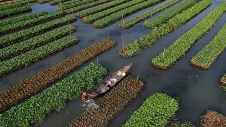 Sindh Proposes $9.15m Floating Agriculture Project