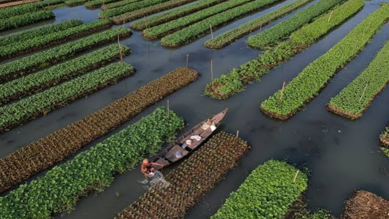 Sindh Proposes $9.15m Floating Agriculture Project