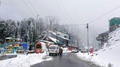 Galiyat Reopens 2 Key Roads After Heavy Snowfall