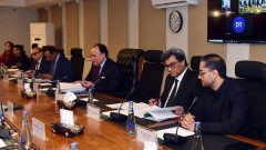 Pakistan Moves to Revive Green Fund After 11 Years