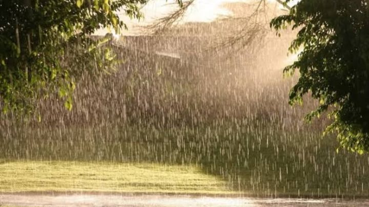 Pakistan Records Hottest Monsoon Season in 7 Years