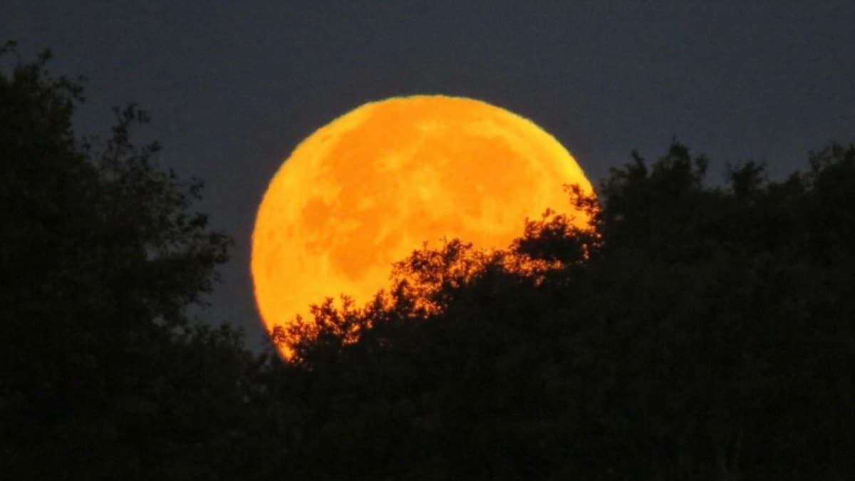 Everything You Need to Know About Hunter’s Moon Visible This Month