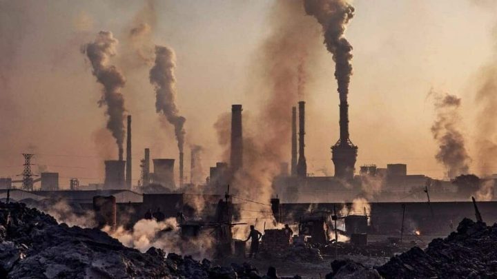 SIFC Starts Solving Problems Faced By 4 Major Industries