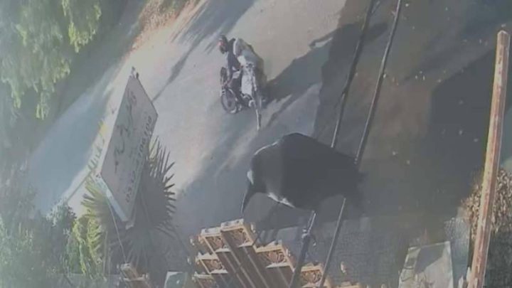Female Passenger Jumps Off Moving Bike Due to Inappropriate Behavior of Online Bike Rider