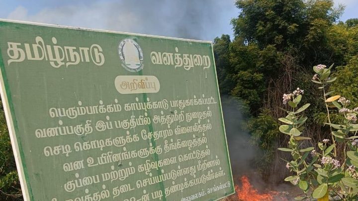 Forest officials seek fix to waste dump near Perumbakkam ASI site