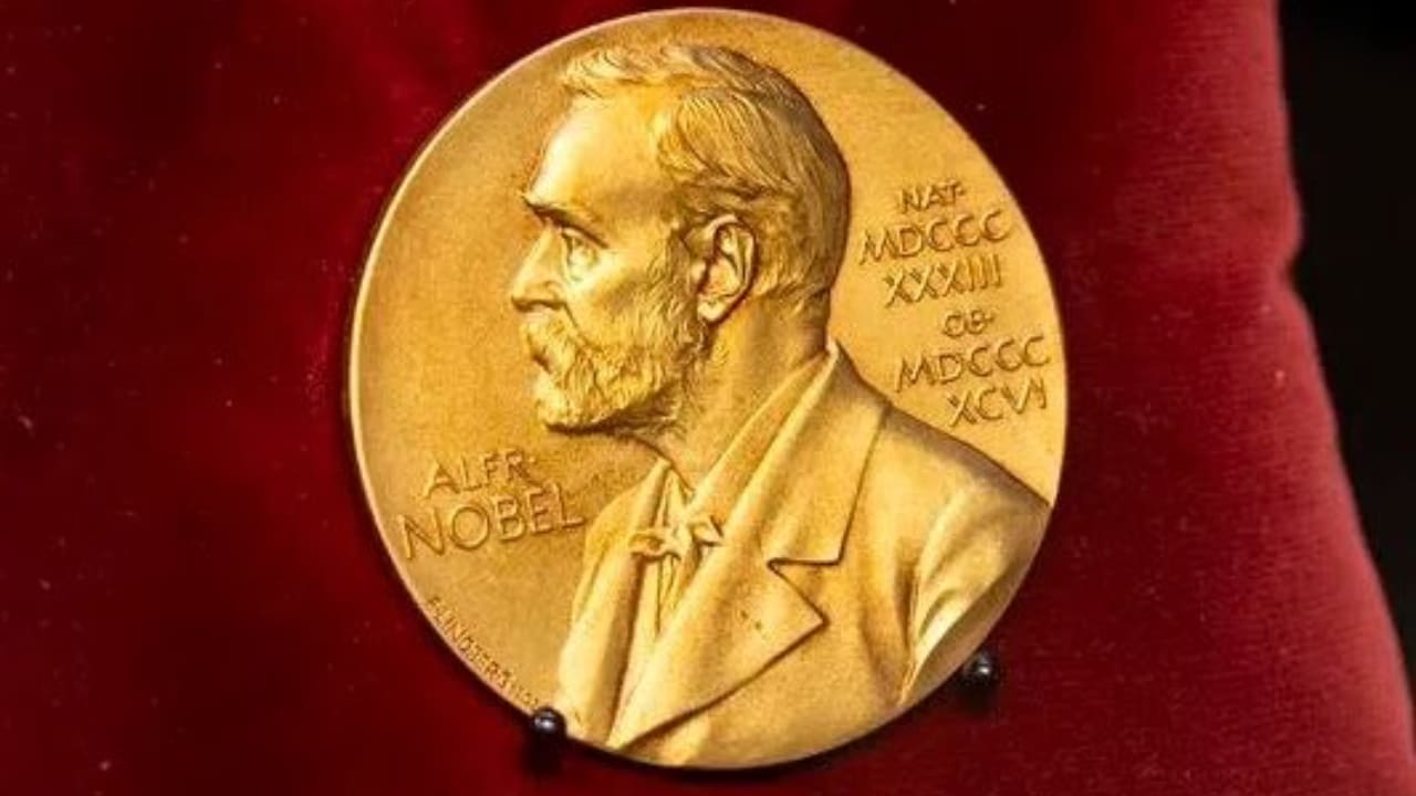 Former ICC Judge Who Reported Israel Committed Genocide in Palestine Wins 2026 Nobel Peace Prize
