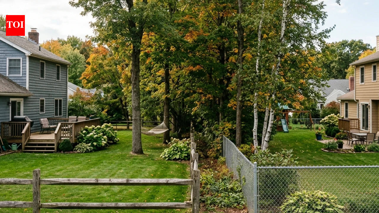 New York court revives privacy claim over cameras filming family's backyard