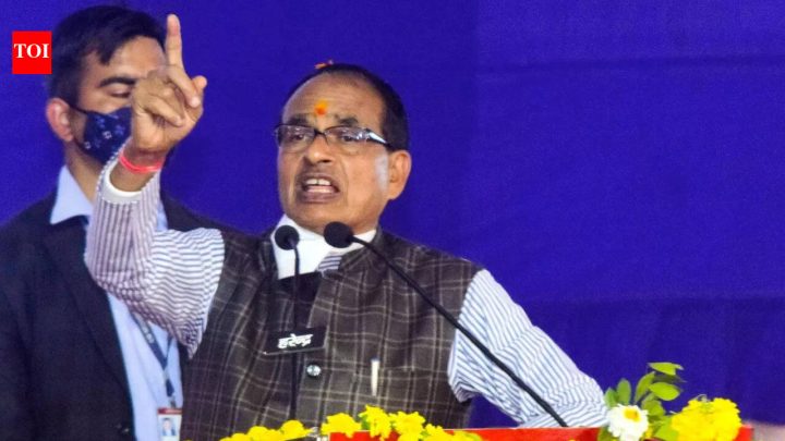IndiaBJP hits back at Kharge over 'illegal' remark