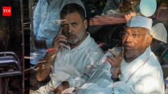 IndiaRahul Gandhi venting electoral frustration through protests: BJP