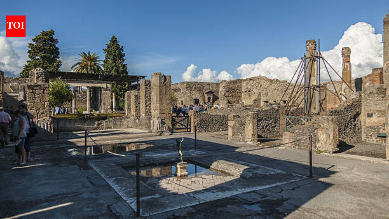 Pompeii's grandest house gets €1.4m restoration paid for by private donor
