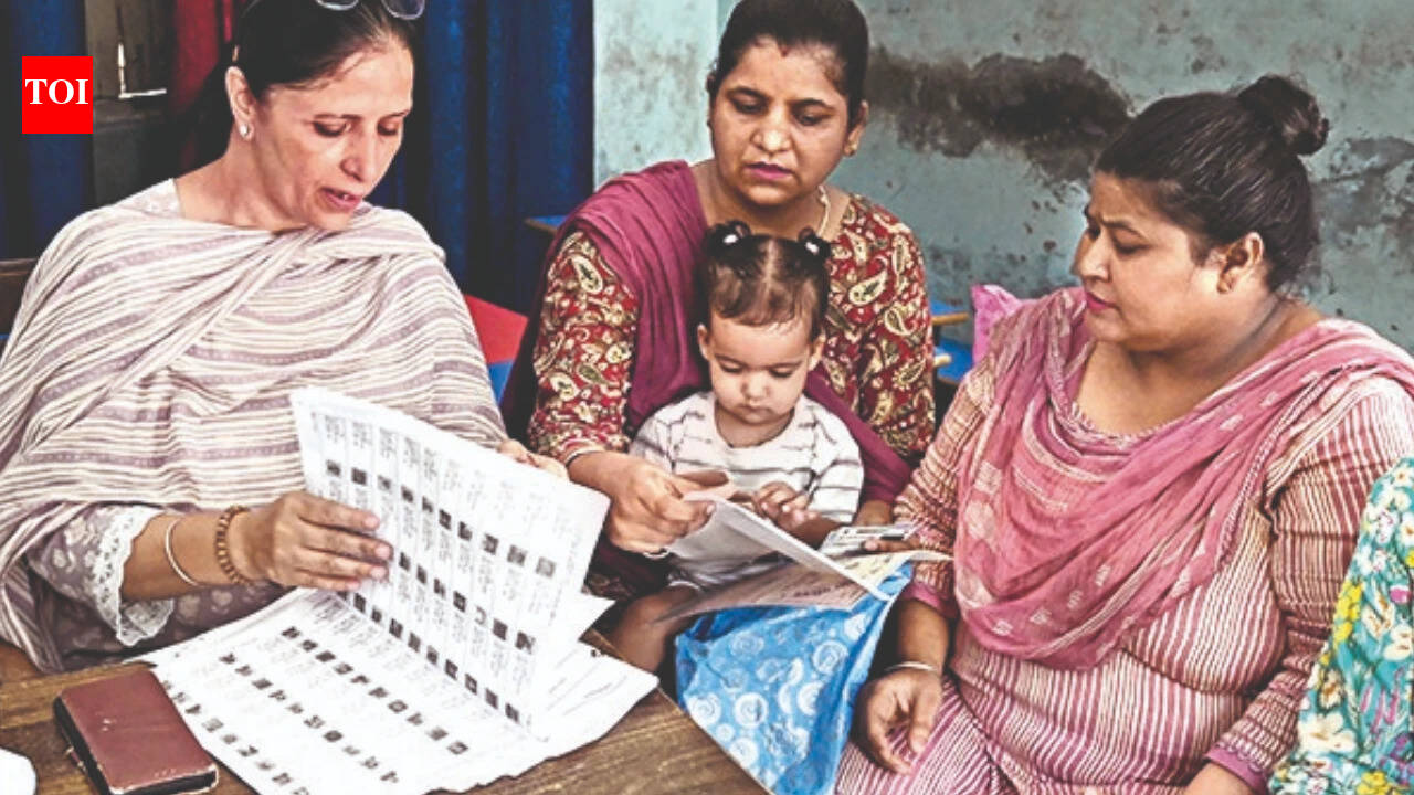 India60% of 33 lakh who received SIR notices in Delhi are now verified