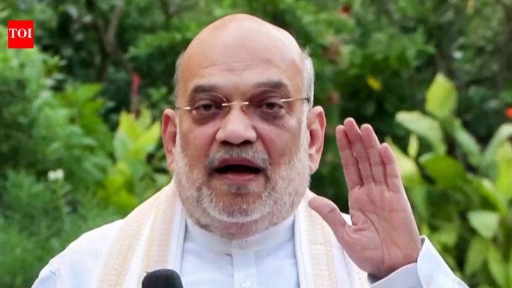 IndiaRahul Gandhi peddling lies on SIR to cover Congress poll defeats: Amit Shah
