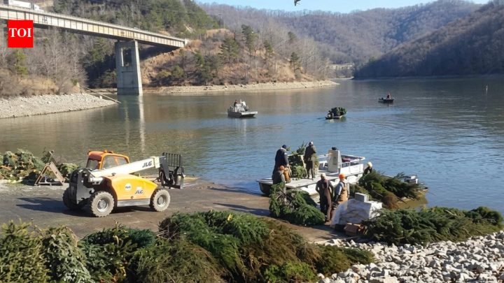 Wildlife & BiodiversityKentucky sinks 1,700 discarded Christmas trees in a lake to create homes for fish