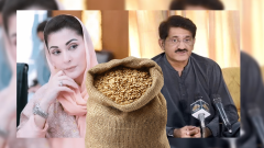 40Kg Wheat Bag May Hit Rs. 5,000