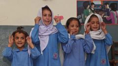 Punjab Orders B-Form Verification for All Students Within 10 Days