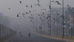 Punjab Deploys Special Units to Combat Smog