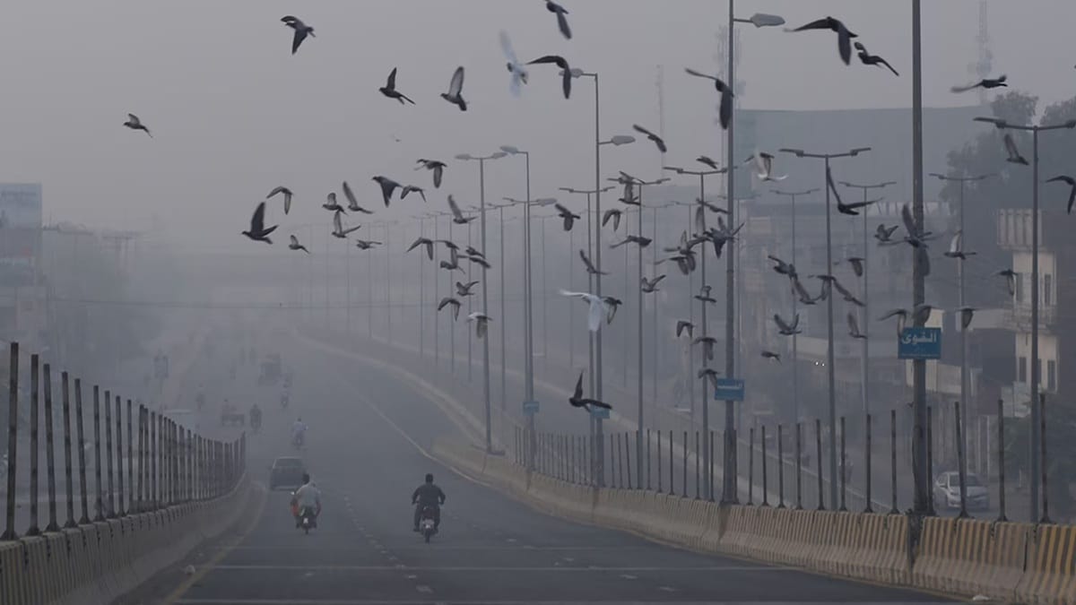 Punjab Deploys Special Units to Combat Smog