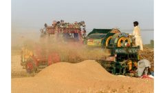 Wheat Seed Prices High Ahead of Sowing Season