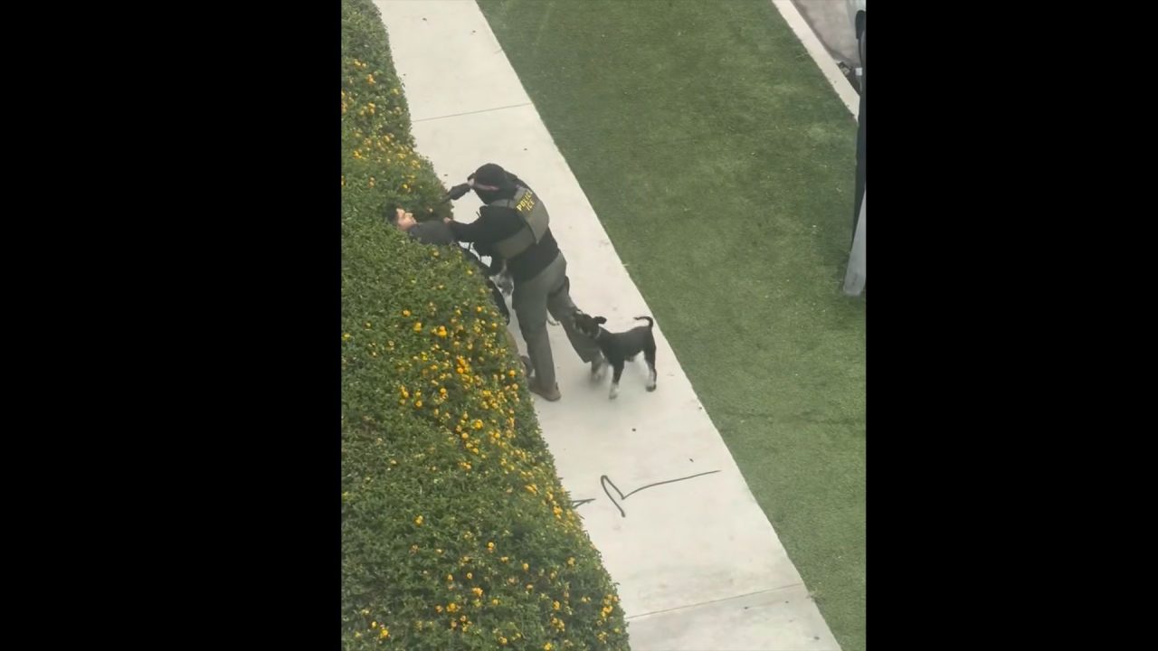 Dog walker threatened with gun during ICE arrest in North Hollywood